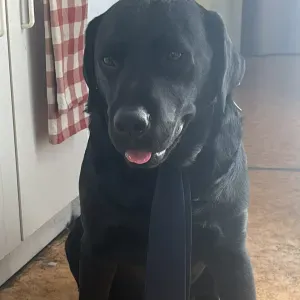 Aide à domicile pour vos ainé à Lille 