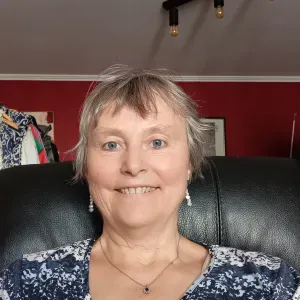 Aide ménagère occasionnelle 