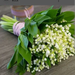 Élève aide-soignante