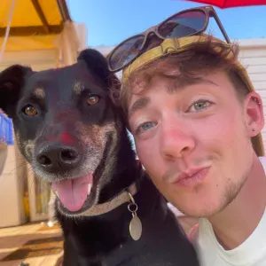 Pet sitter sur Tours Nord et alentours 