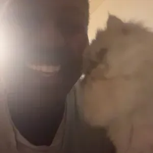 Services Catsitting Affectueux et de Haute Qualité 