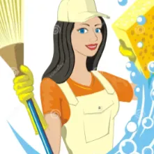 Personne sérieuse proposant heures de ménage