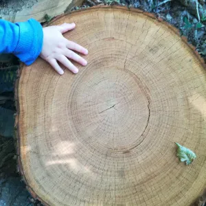 Cherche nounou pour 4 matins par semaine 7h30-9h