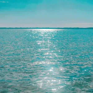 Une femme de ménage 