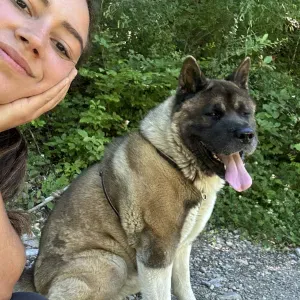 Pet-sitter entre Gap et Sisteron ! 