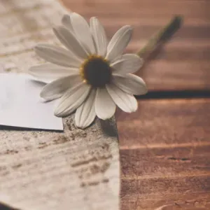 Je cherche un travail d'aide ménagère