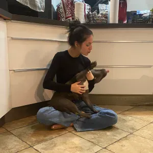 Pet-Sitter à Peyrolles en Provence :)