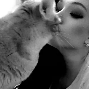 Pet sitting em Porto-Paranhos 