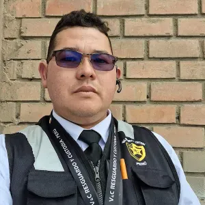 Cuidador de perror en redondela