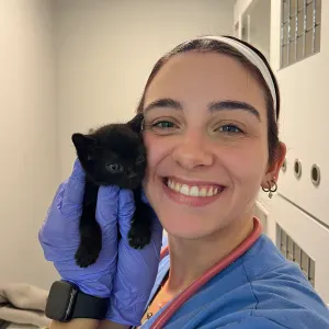 Passeios, petsitting e mais: Póvoa/Vila do Conde!