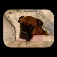 Bonjour je me présente je m'appelle Maria.