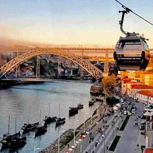 pet sitting em vila nova de gaia 