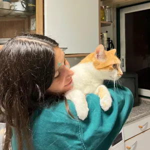 Pet sitting for cats! PT/EN✨🐈