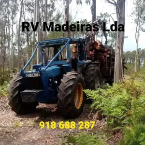 Estou à procura de uma empregada de limpeza perto de mim