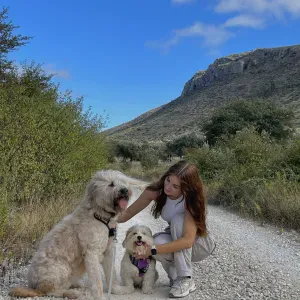 MonteVerde Farmhouse 🐾 Pet Sitting em ambiente familiar
