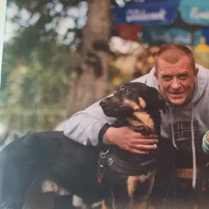 Garde chiens la Wallonië ou autres animaux