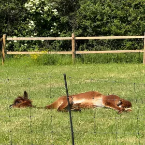 Femme de ménage à domicile Gouvy experte et fiable