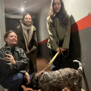 Aide pour le ménage / Help for cleaning