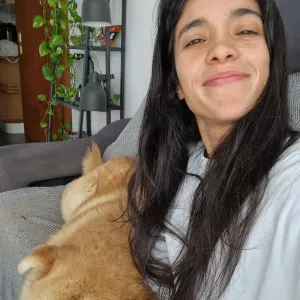 Petsis à Biarritz, Anglet, bayonne