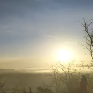 Toulouse; Pet-Sitter Etudiante!