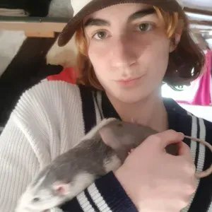 Pet-Sitter à Tourville-la-Rivière 