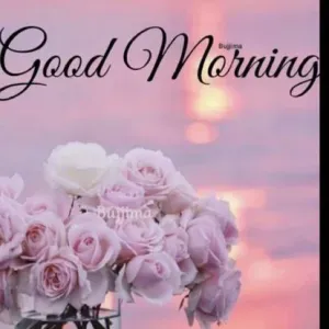 Aider pour personne âges