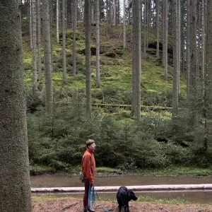 Dog Walking and Cat Sitting Service in Luxembourg City