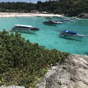 Garde & accompagnement  3 enfants.