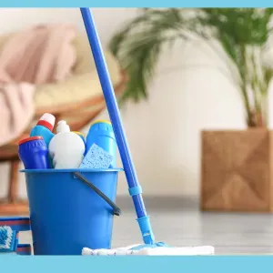 Gouvernante responsable à Lyon.