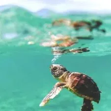 English lessons & Accounting/Finance/Economics/Bsc studies