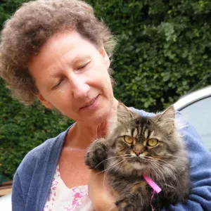 professeur particulier expérimenté à Concarneau