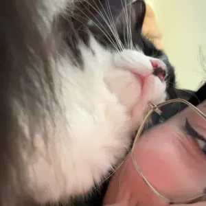 Pet-Sitter dans le Tarn à disposition