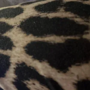 Cherche garde pour samedi matin/ deux garçons