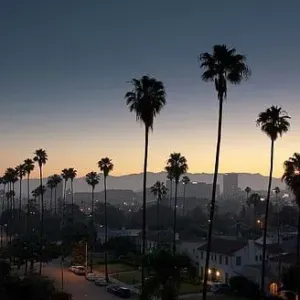 Petsitter a Amay et en Espagne