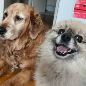 Pet sitter passionnée en région parisienne !