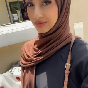 Baby sitter au plessis trévise 