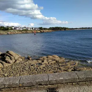 pet sitter en ile de france a 10mn de la gare de l'est