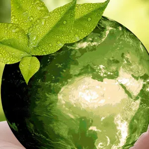 Aide aux devoirs : Maths, Physique, Sciences, Arabe, Anglais