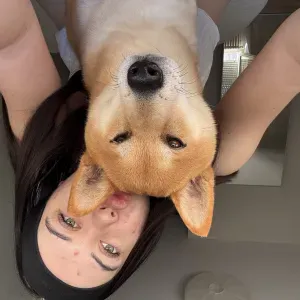 Pet sitter a saint julien de concelles 