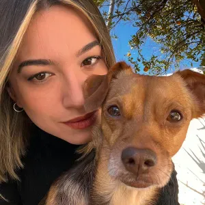 Cerco pulizie sassari