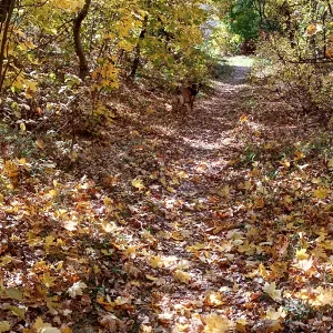 Homme de ménage j'effectue également des ménages en brnb