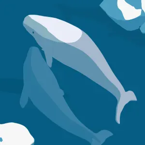 Soutien scolaire maths collège / lycée – Élève sérieux(BAFA)