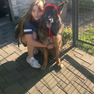 Pet sitter sérieuse et attentionnée