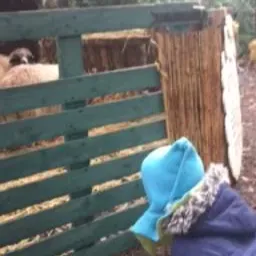 assistante maternelle agréee