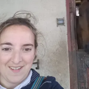 Baby-sitter à Villedieu les poêles