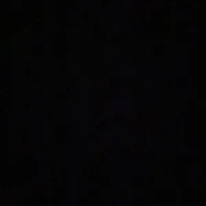 Pet sitter à Paris ravis de garder votre animal de compagnie