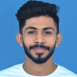 Responsible cleaner mainly hotels,house