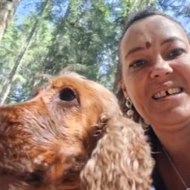 Petsitter draguignan auxiliaire spécialisée vétérinaire 