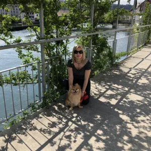 Procura domiciliaria