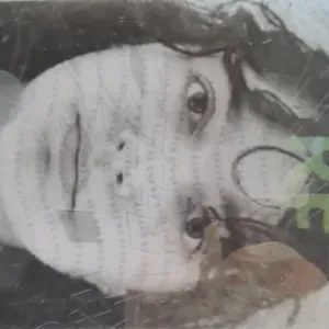 Baby-sitter expérimentée à Amiens  